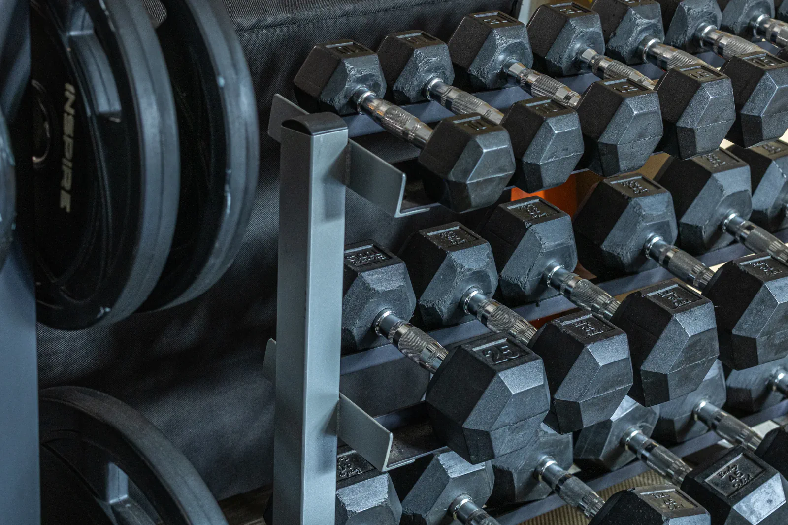 Close view of Overall Development dumbbells and weight plates