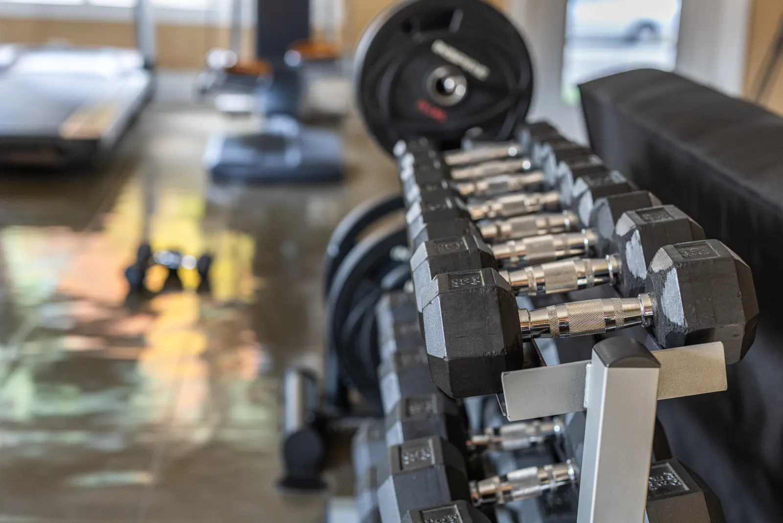 Close view along a rack of fixed hex dumbbells at Overall Development