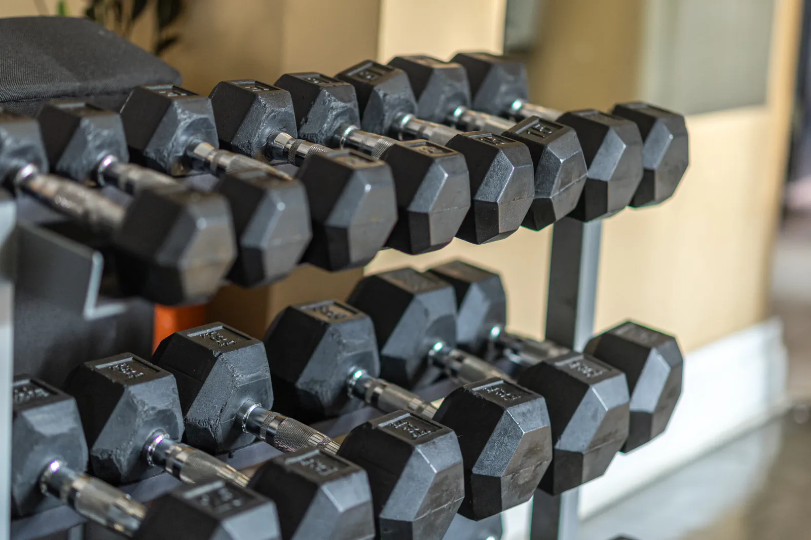 Rows of hex dumbbells on the Overall Development strength floor