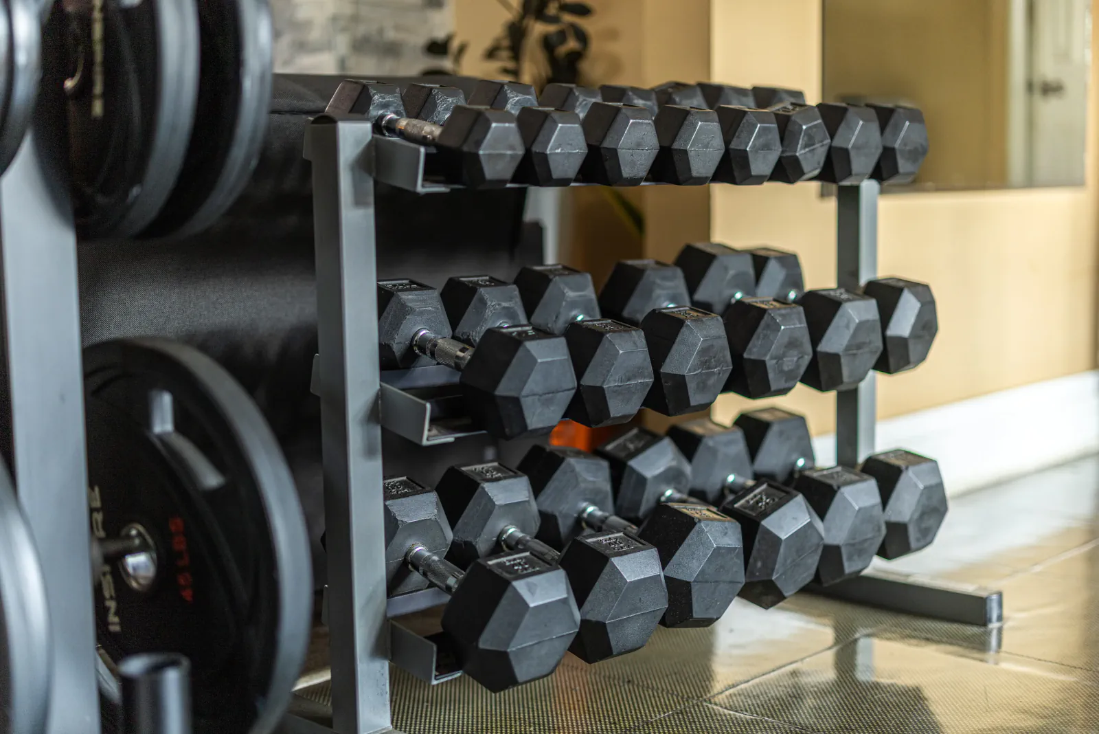 Three-tier dumbbell rack beside weight plates at Overall Development
